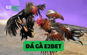 đá gà nhà cái e2bet