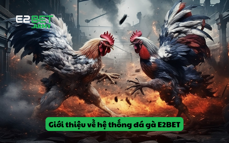 Sự ra đời của nhà cái E2BET