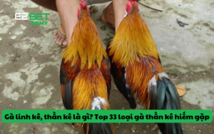 Gà linh kê, thần kê là gì? Top 33 loại gà thần kê hiếm gặp